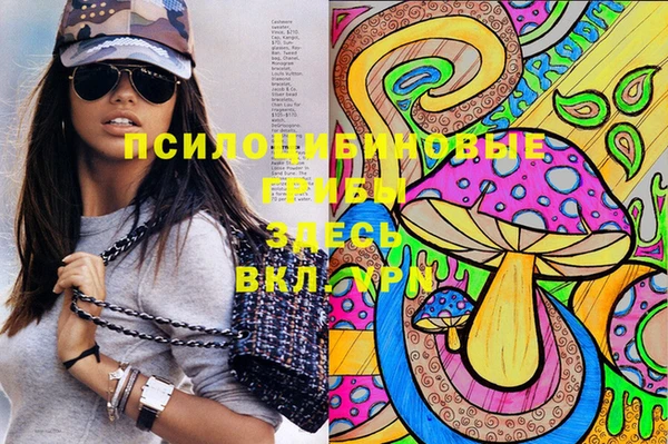 прущие крисы Балахна